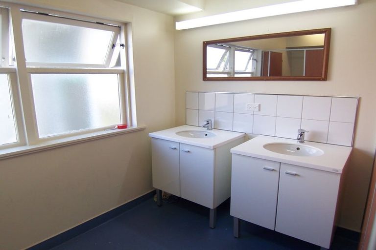 Photo of property in 113 Coromandel Street, Newtown, Wellington, 6021