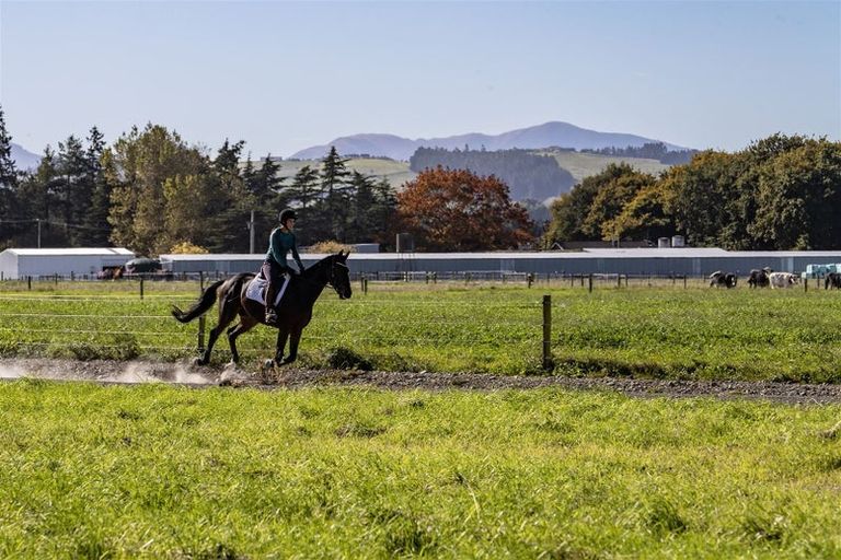 Photo of property in 1891 Oxford Road, Cust, 7471