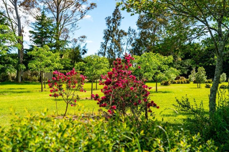 Photo of property in 144 Loop Line, Opaki, Masterton, 5881