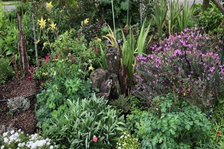 Photo of property in 554 Kingseat Road, Kingseat, Pukekohe, 2679