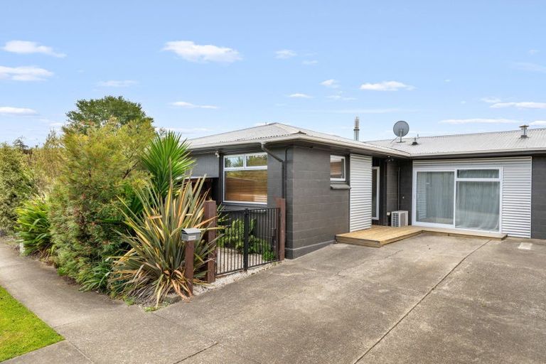 Photo of property in 52a Dillon Street, Blenheim, 7201