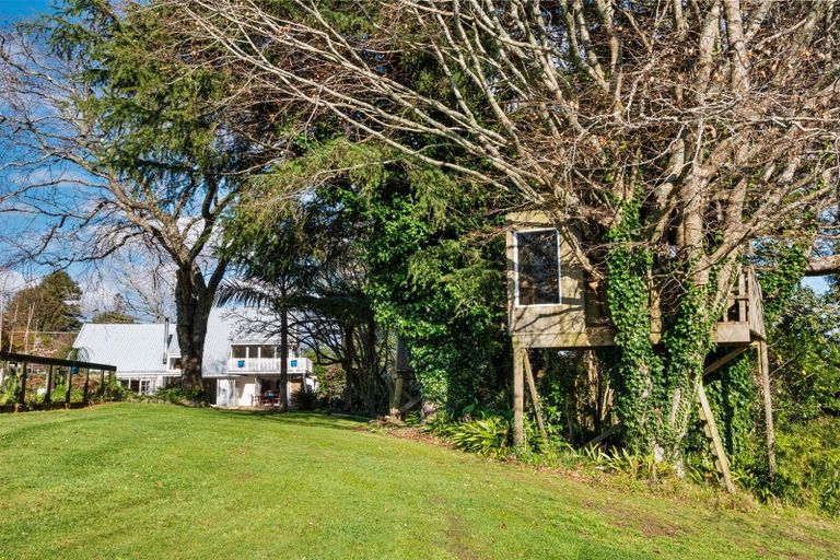 Photo of property in 162 Ross Road, Whakamarama, Tauranga, 3179