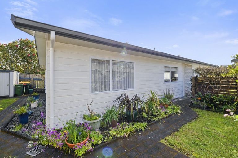 Photo of property in 3 Salcombe Terrace, Welbourn, New Plymouth, 4312