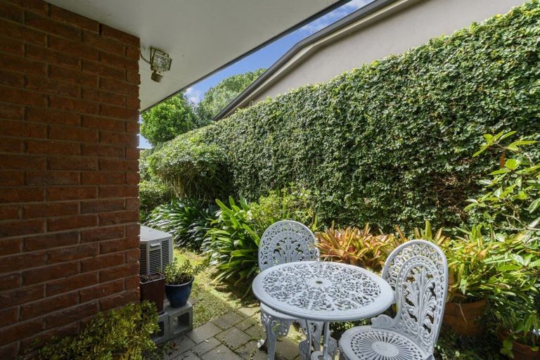 Photo of property in 171c Maungatapu Road, Maungatapu, Tauranga, 3112
