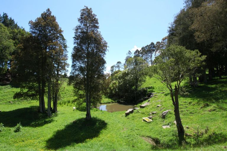 Photo of property in 182 Ohautira Road, Raglan, 3295
