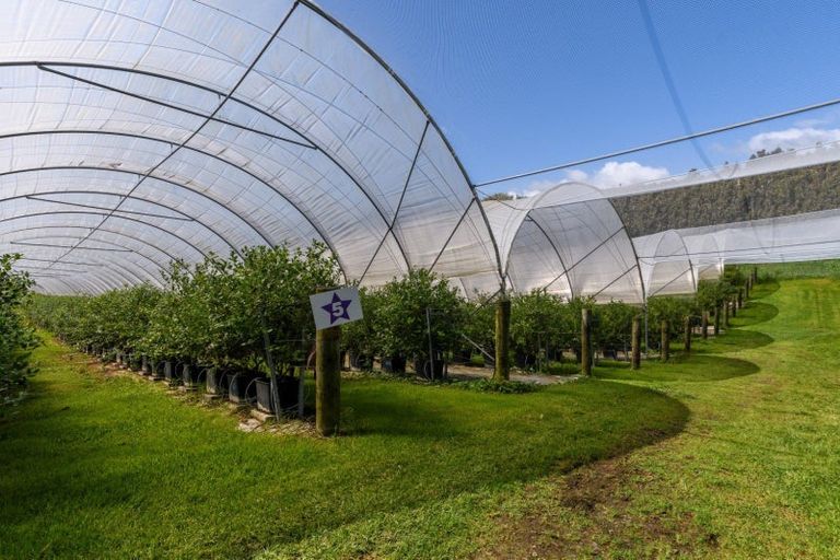 Photo of property in 44 Walker Road West, Aongatete, Katikati, 3178