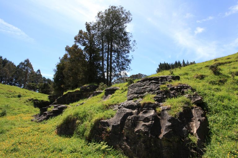 Photo of property in 182 Ohautira Road, Raglan, 3295