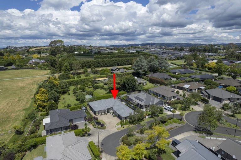 Photo of property in 16 Tranquil Grove, Omokoroa, 3114