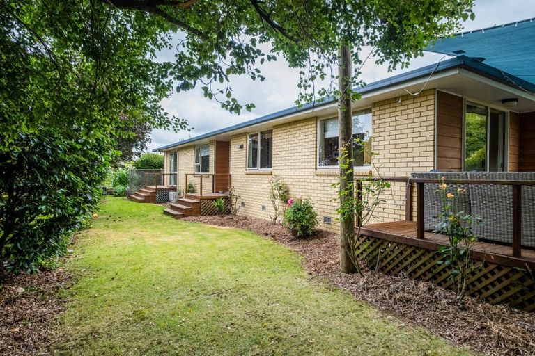 Photo of property in 5 Williamson Place, Geraldine, 7930