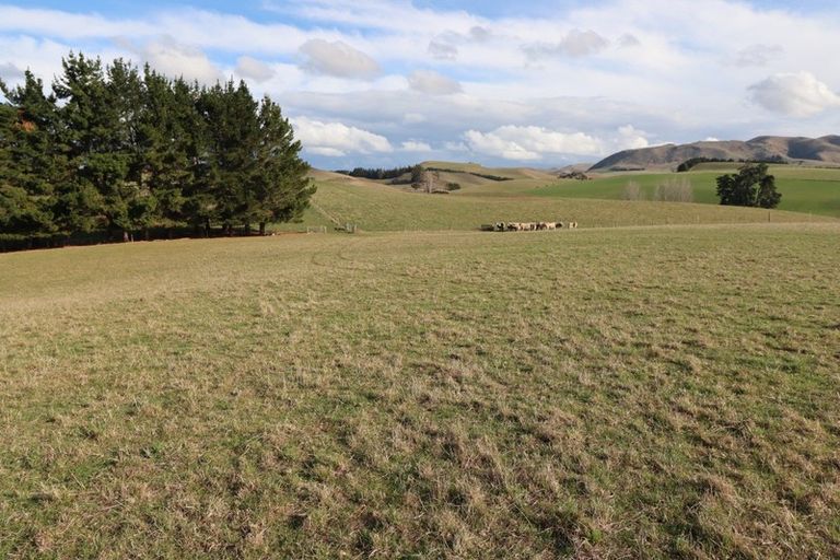 Photo of property in 250 Ritchies Road, Waihao Downs, Waimate, 7977
