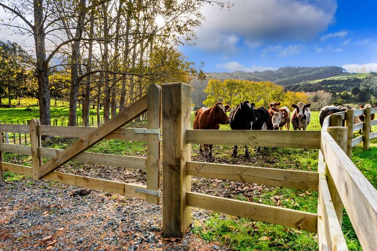 Photo of property in 1149c Whangaripo Valley Road, Whangaripo, Wellsford, 0972