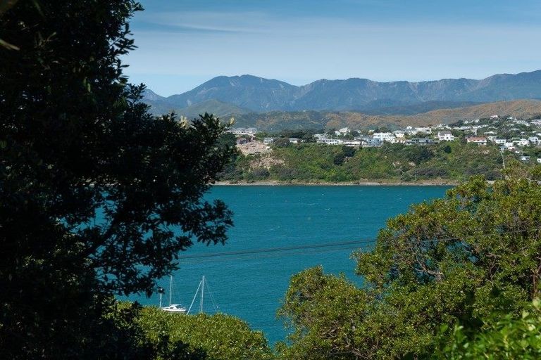 Photo of property in 24 Rewa Road, Hataitai, Wellington, 6021