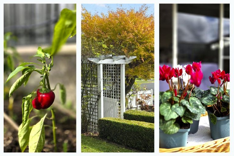 Photo of property in 4 Sunnyhills Avenue, Glenview, Hamilton, 3206