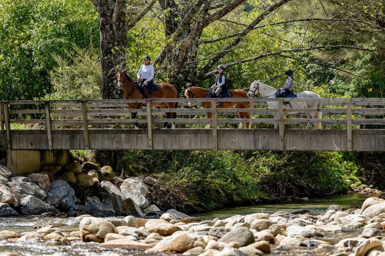 Photo of property in 217 Harvey Road, Marahau, Motueka, 7197
