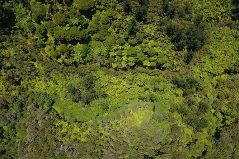 Photo of property in Peria Road, Peria, Kaitaia, 0482