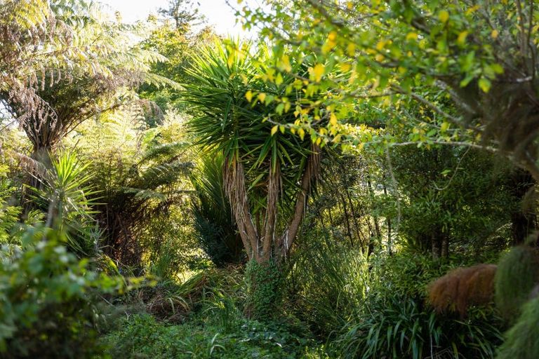 Photo of property in 17 Princes Street, Waikino, Waihi, 3682