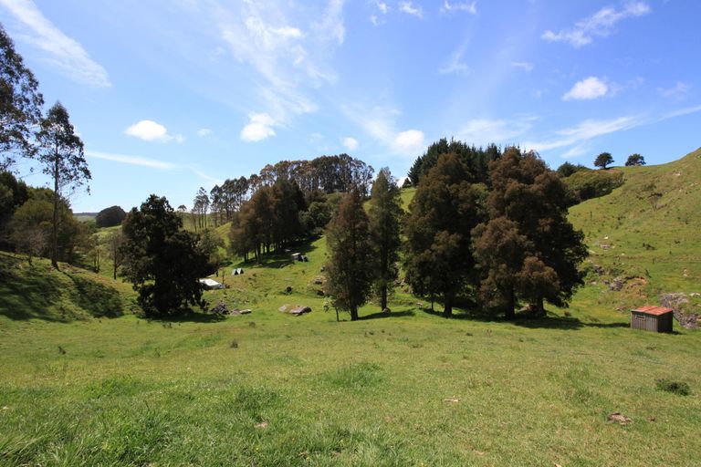 Photo of property in 182 Ohautira Road, Raglan, 3295