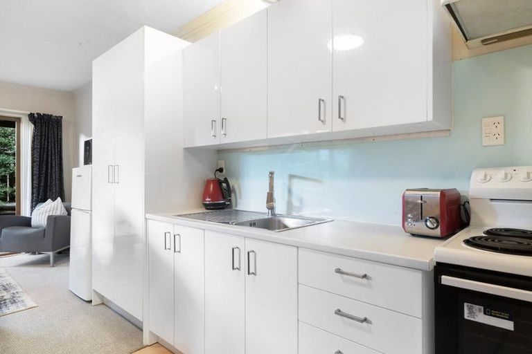 Photo of property in 24a Dublin Street, Queenstown, 9300