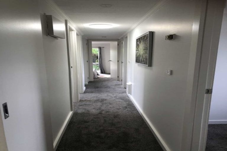 Photo of property in 218 Hampton Downs Road, Whangamarino, Te Kauwhata, 3782