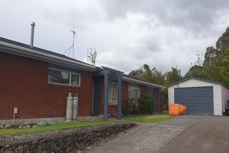 Photo of property in 36 Tutauanui Crescent, Maungatapu, Tauranga, 3112