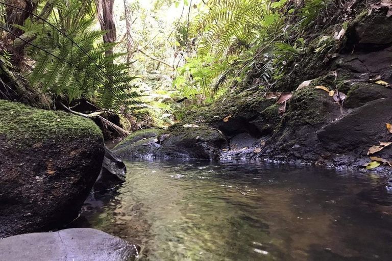 Photo of property in 1447 Old North Road, Helensville, 0875