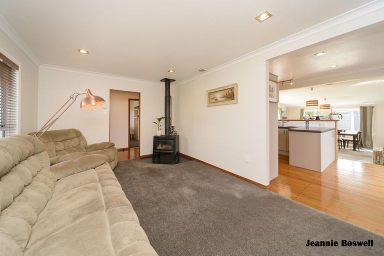 Photo of property in 50 Haydon Street, Roslyn, Palmerston North, 4414