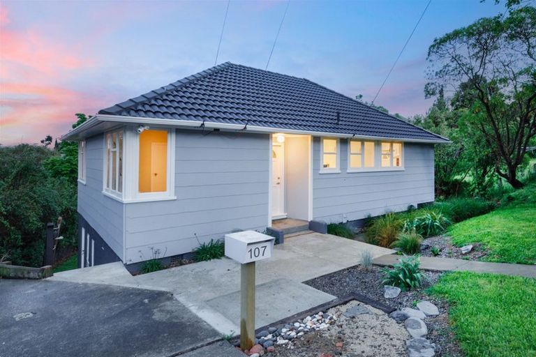 Photo of property in 107 Hampshire Street, Cannons Creek, Porirua, 5024