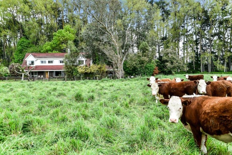 Photo of property in 803f Bruntwood Road, Tamahere, Hamilton, 3283