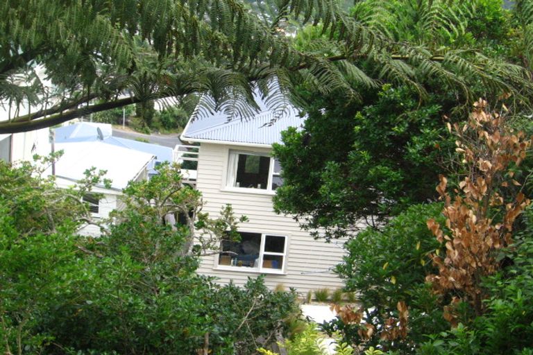 Photo of property in 113 Northland Road, Northland, Wellington, 6012