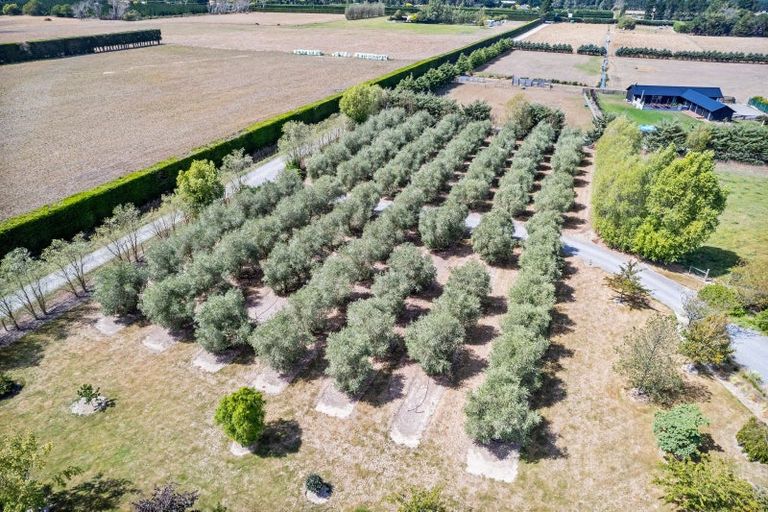 Photo of property in 881 Two Chain Road, Swannanoa, Rangiora, 7475