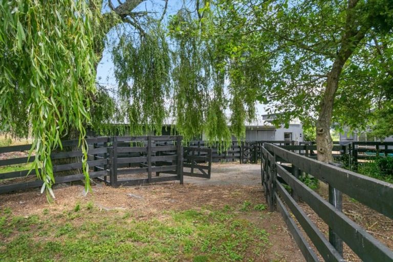 Photo of property in 127 Norrish Road, Ohaupo, 3881