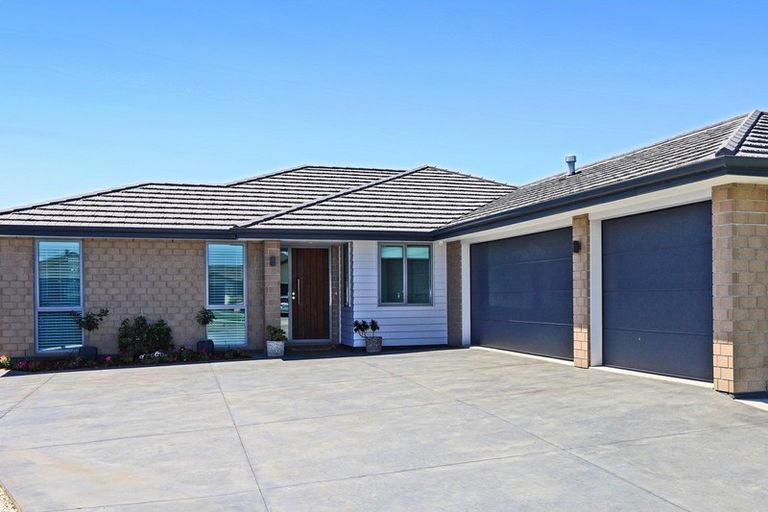 Photo of property in 20 Lochhead Street, Mahora, Hastings, 4120