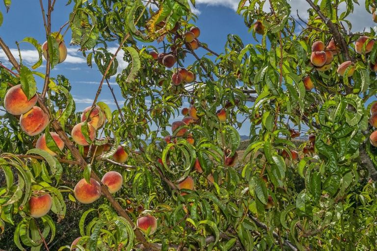 Photo of property in 194 Centennial Drive, Whitianga, 3510