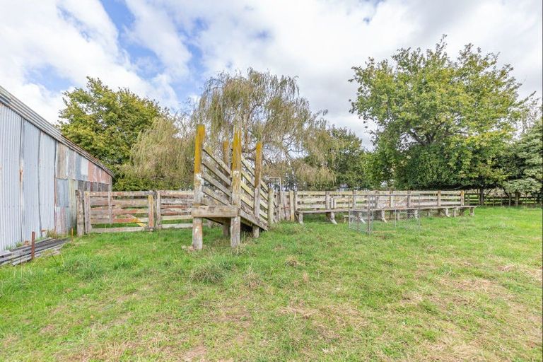 Photo of property in 45 Tavistock Road, Koputaroa, Levin, 5575