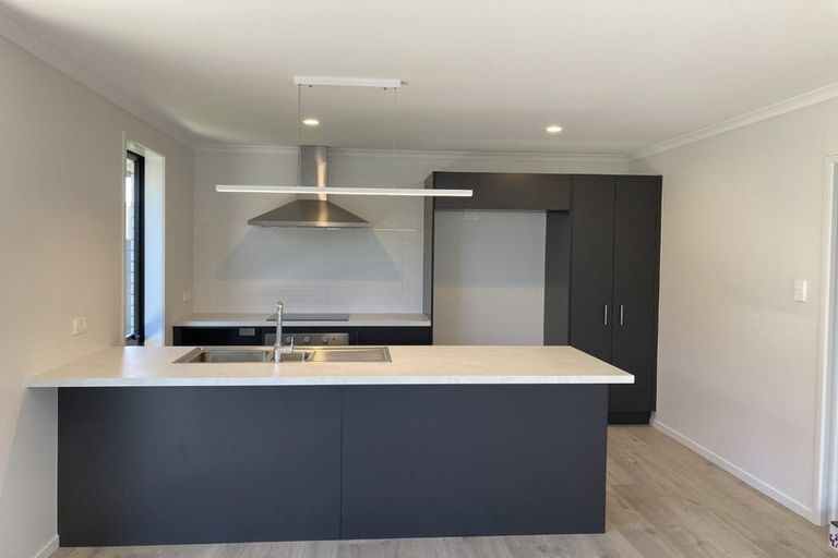 Photo of property in 14 Ash Lane, Omokoroa, 3114