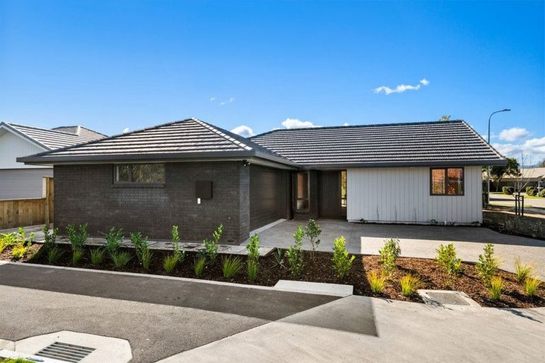 Photo of property in 11 Magnolia Drive, Springlands, Blenheim, 7201