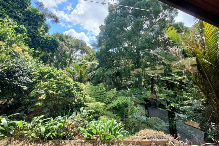 Photo of property in 62 Palomino Drive, Henderson, Auckland, 0612