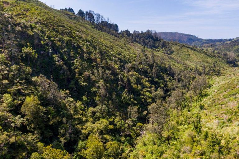 Photo of property in 316b Waitao Road, Waitao, Tauranga, 3175