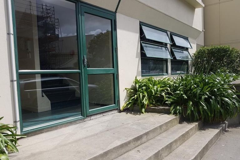 Photo of property in Te Awhina Apartments, 19/22 Sussex Street, Mount Cook, Wellington, 6021