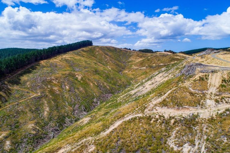 Photo of property in 3525 Masterton Castlepoint Road, Mangapakeha, Masterton, 5889