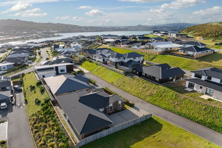 Photo of property in 167 John Burke Drive, Aotea, Porirua, 5024