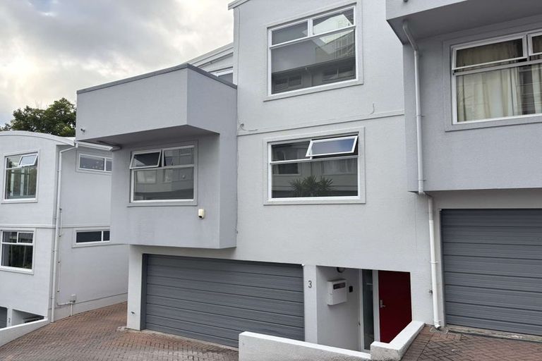 Photo of property in Fernhill Flats, 3/324 The Terrace, Te Aro, Wellington, 6011