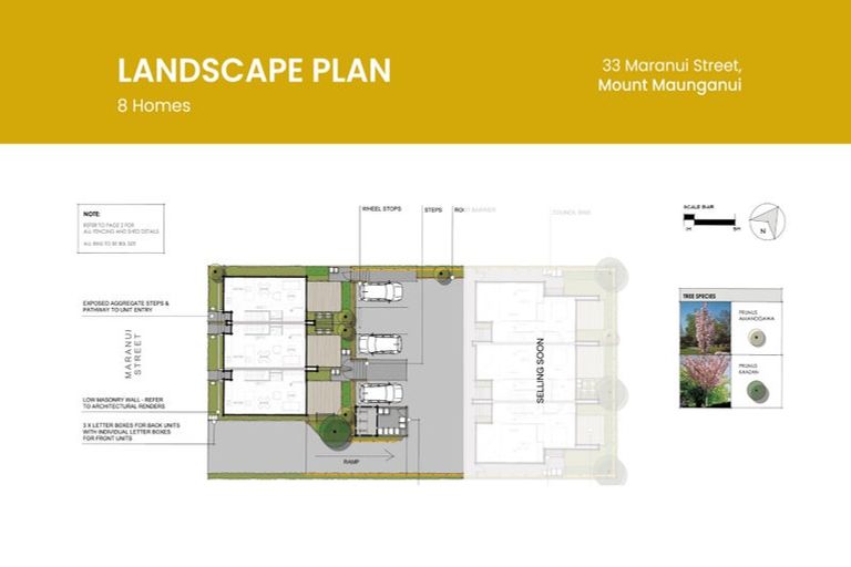 Photo of property in 33 Maranui Street, Mount Maunganui, 3116