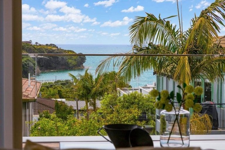 Photo of property in 19 Scarboro Terrace, Murrays Bay, Auckland, 0630