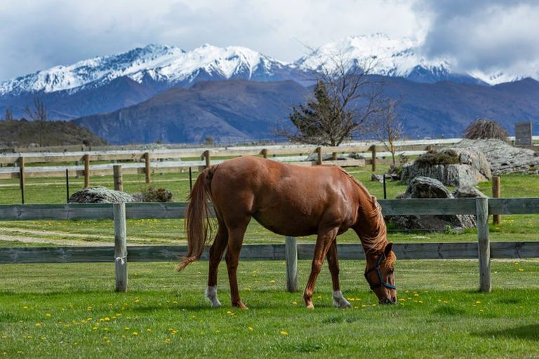 Photo of property in 182 Stevenson Road, Wanaka, 9382