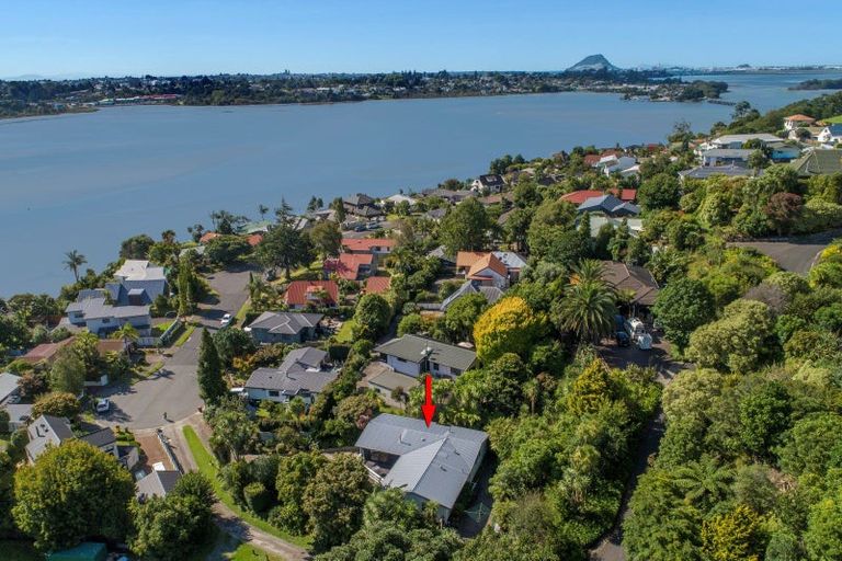 Photo of property in 112 Haukore Street, Hairini, Tauranga, 3112