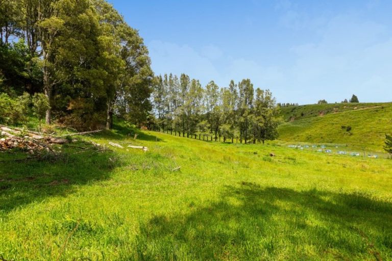 Photo of property in 594 Omanawa Road, Omanawa, Tauranga, 3171