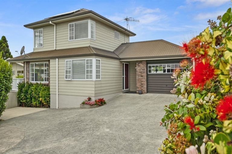 Photo of property in 15b Laing Place, Otumoetai, Tauranga, 3110