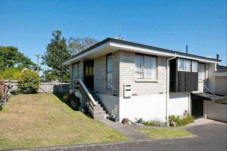 Photo of property in 172a Ngatai Road, Otumoetai, Tauranga, 3110