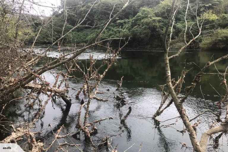 Photo of property in 57a Alpers Ridge, Leamington, Cambridge, 3432